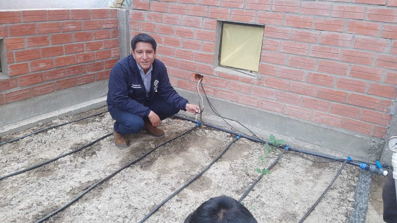 Invernaderos Domóticos en los Valles