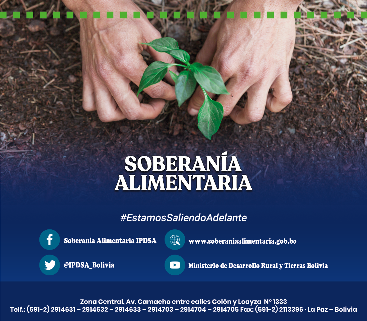 Agricultura urbana