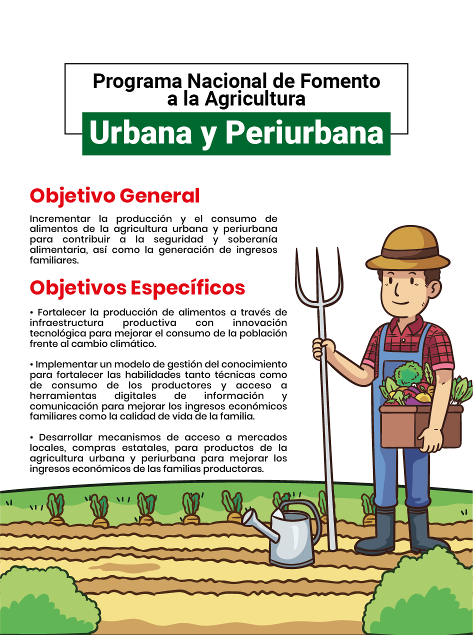 Nuestra organización