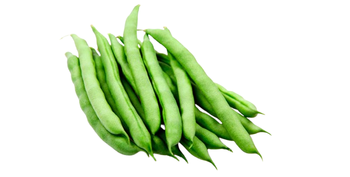 vainita