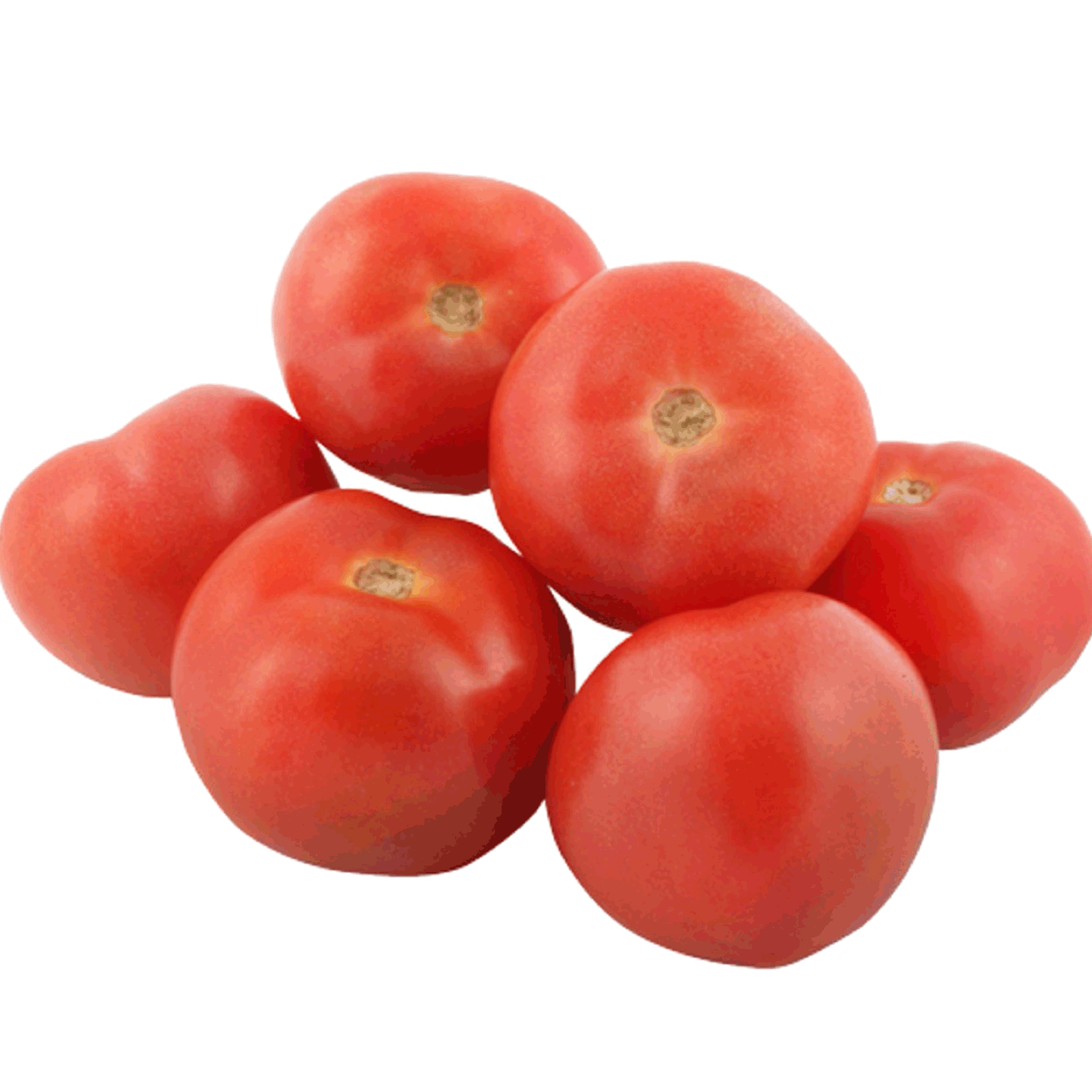 Tomate