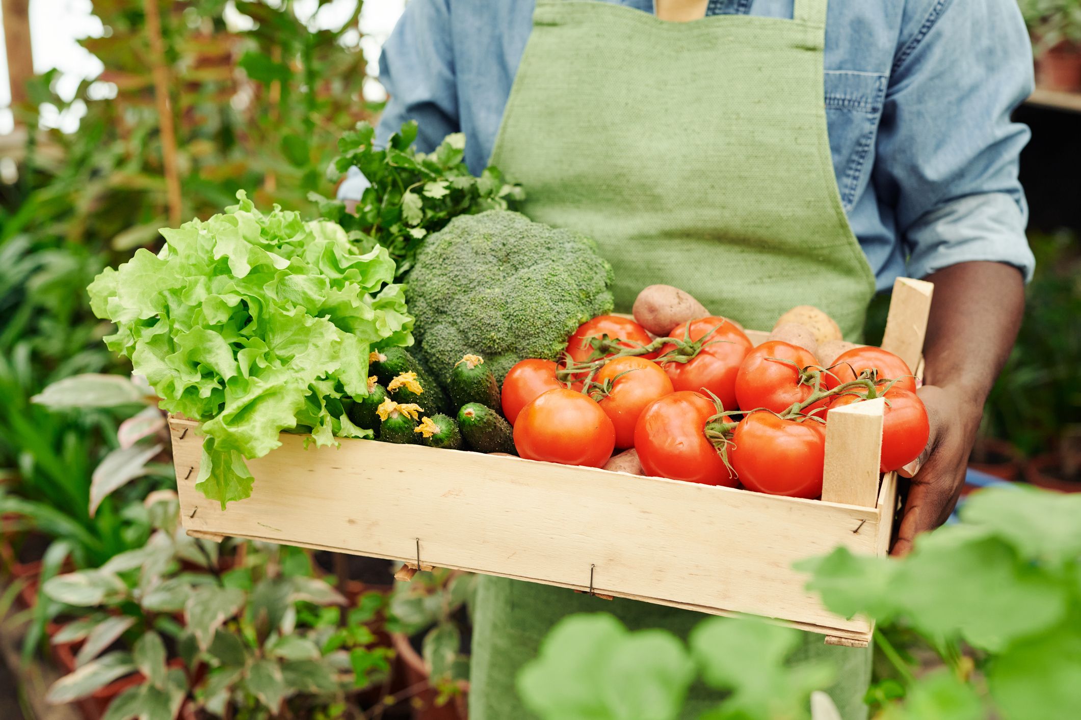 Costos de Producción, Cosecha y Postcosecha