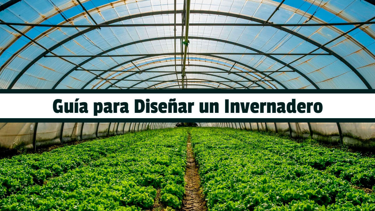 Portada de GUÍA DE CONSTRUCCIÓN Y MANEJO DE INVERNADEROS PARA LA PRODUCCIÓN DE HORTALIZAS Y FRUTAS EN ZONAS ALTO ANDINAS