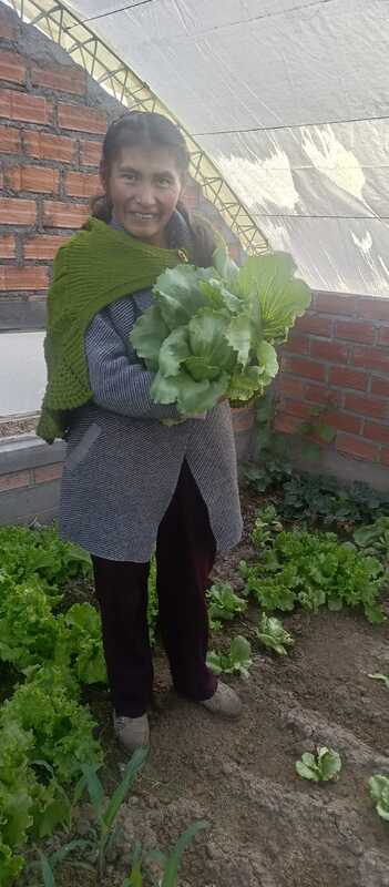brocoli