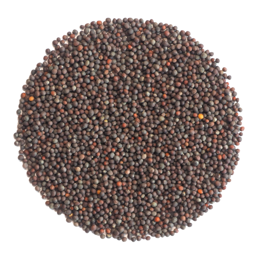 Brocoli